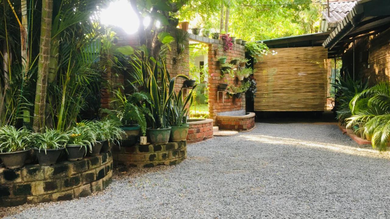 Mowgli Cottage Sigiriya Bagian luar foto