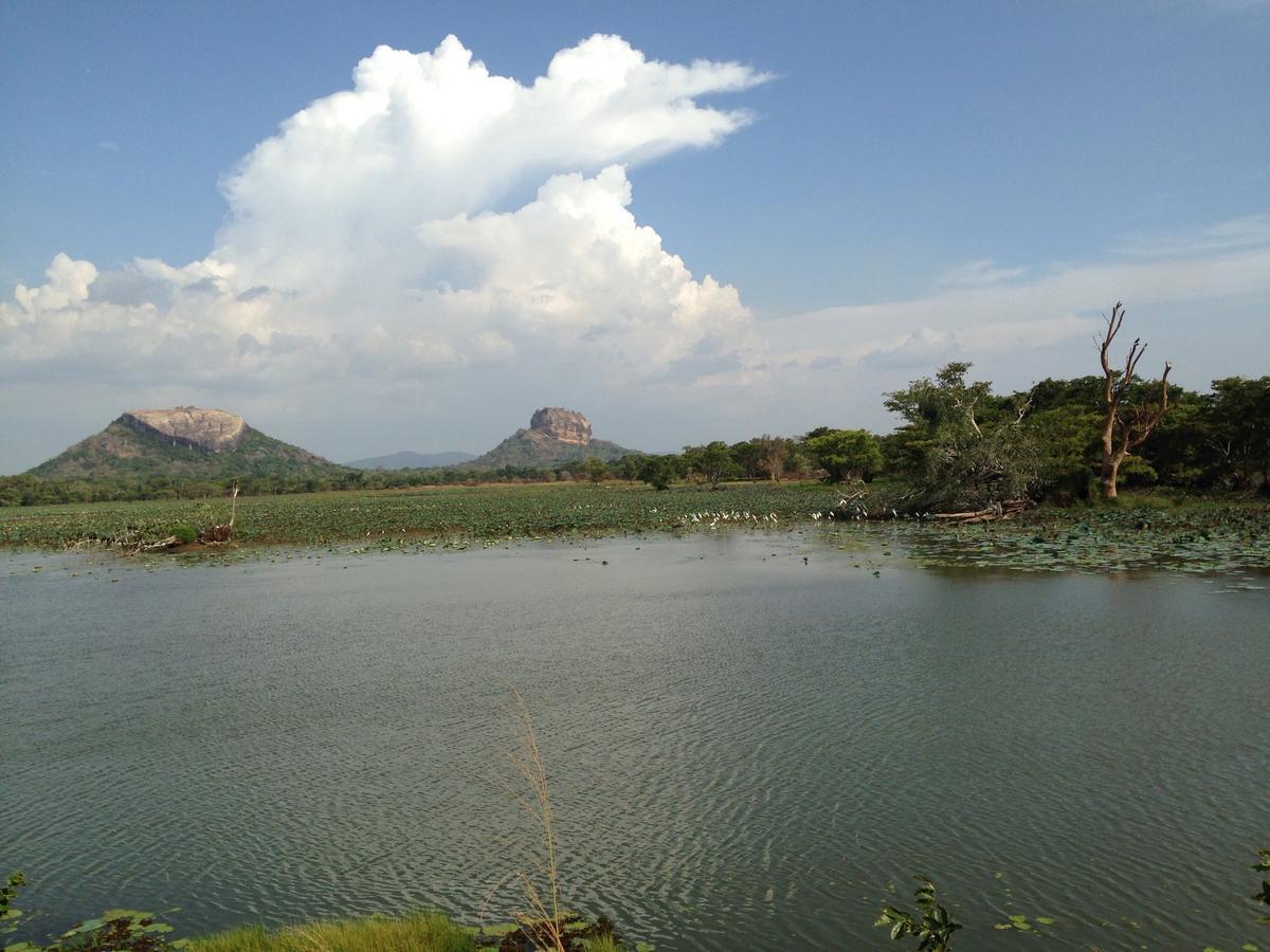 Mowgli Cottage Sigiriya Bagian luar foto